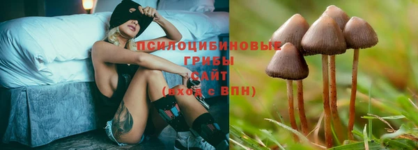 ECSTASY Магадан