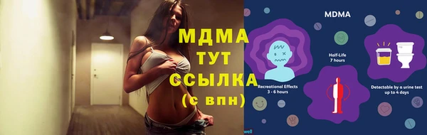 мяу мяу мука Магас
